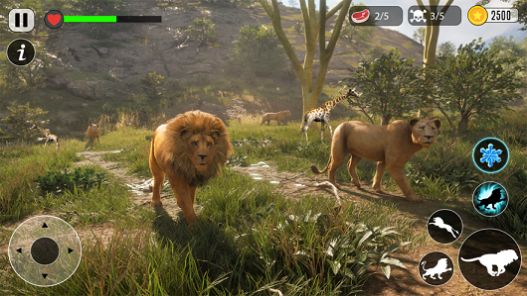狮子模拟器动物生存官公测版下载