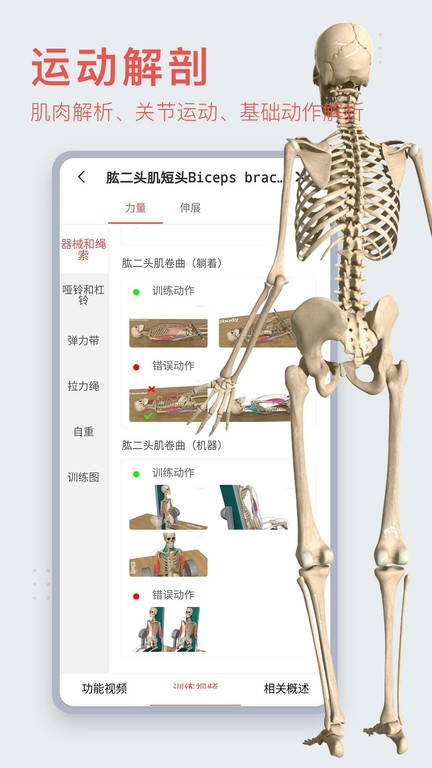 3dbody解剖免费中文下载
